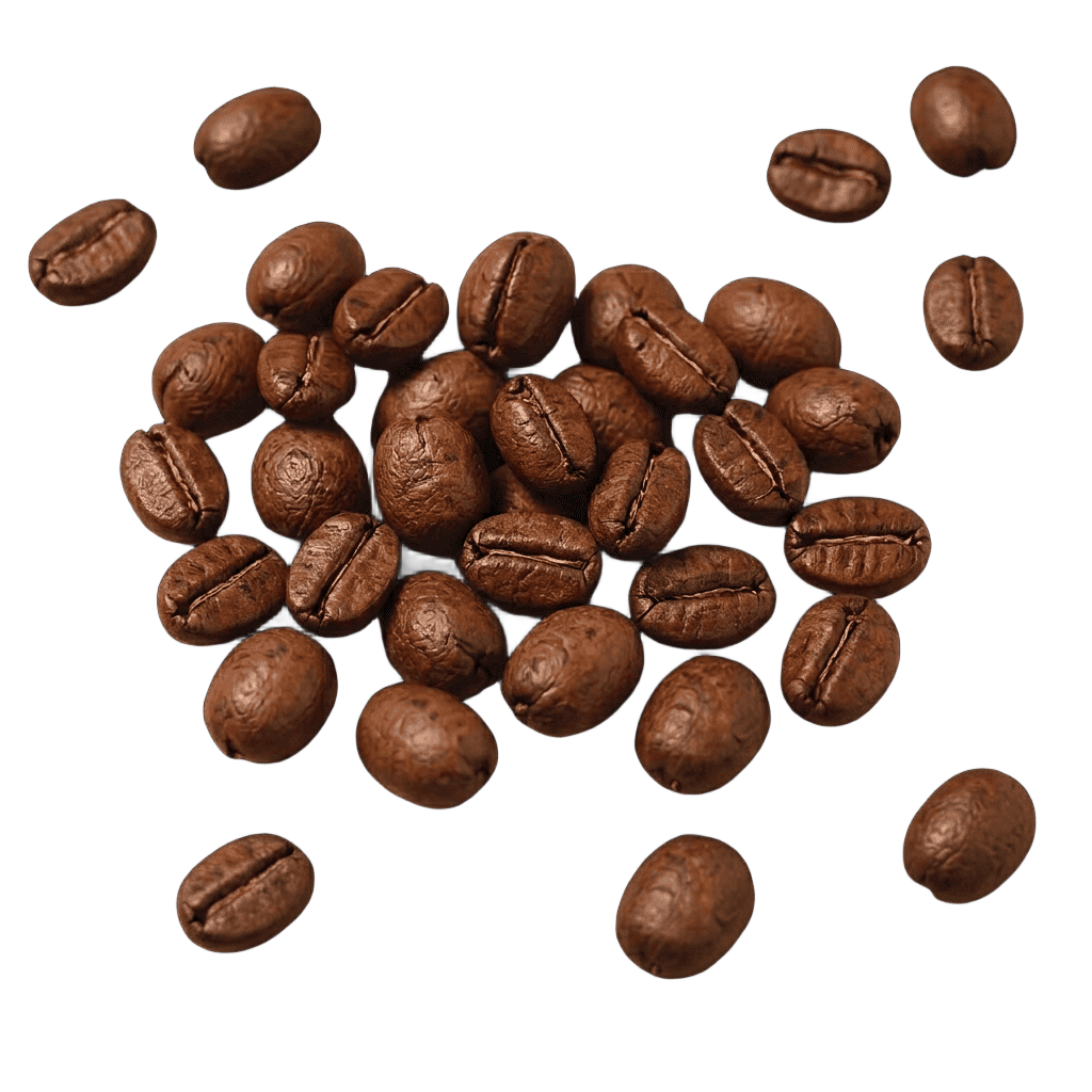 Grains de café Jasmin
